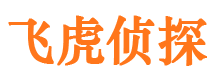 小河寻人公司